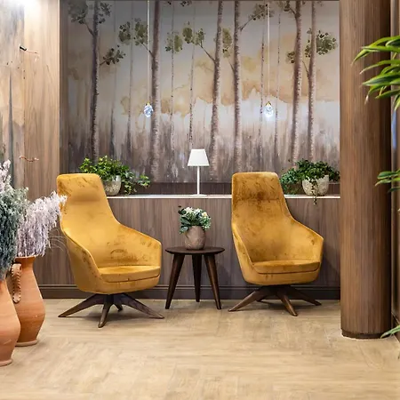 Guild Senior & 3* シエーナ